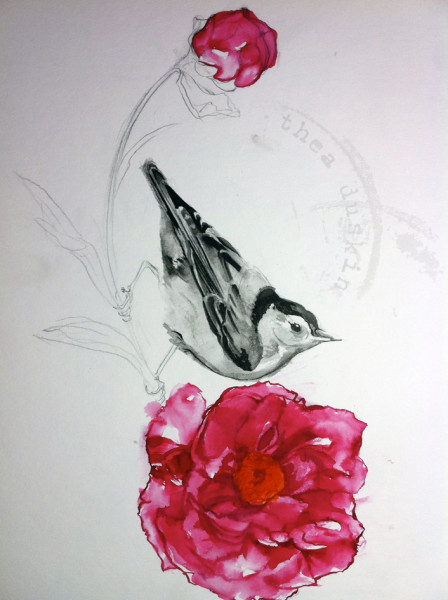 Nuthatch Watercolor sketch_wp